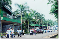 Indo2
