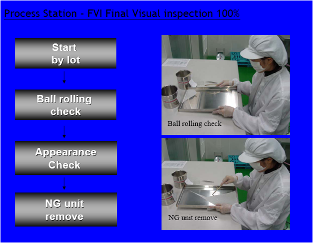 Inspection